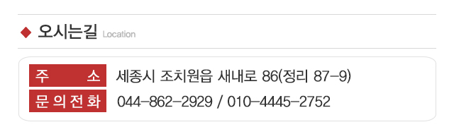 조치원열쇠_주소